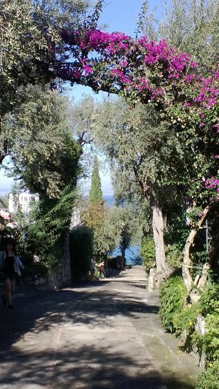 Camping Nube D'Argento Sorrento Buitenkant foto