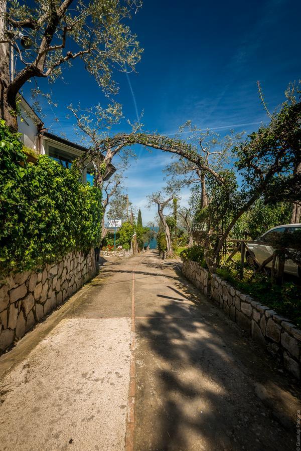 Camping Nube D'Argento Sorrento Buitenkant foto